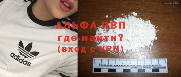 спиды Волоколамск